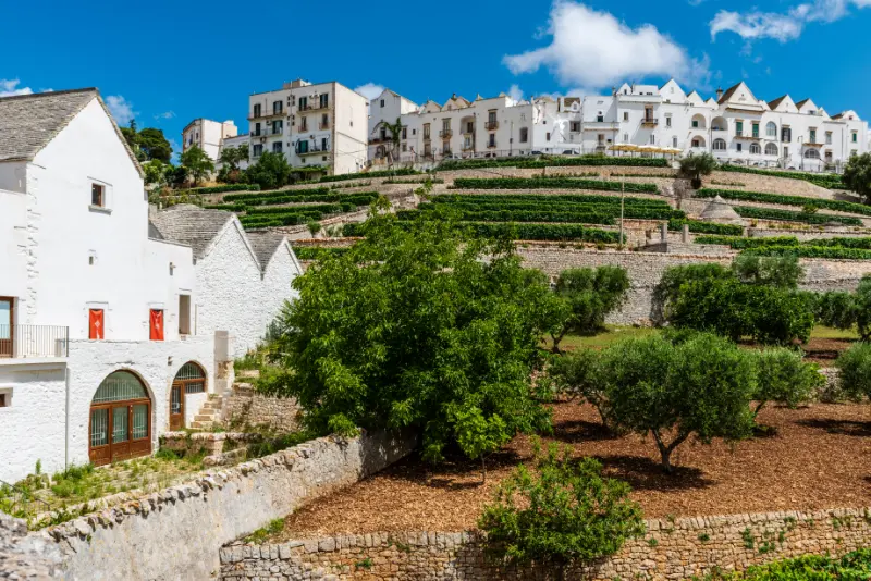 Traditional farmhouse near Locorotondo, Puglia